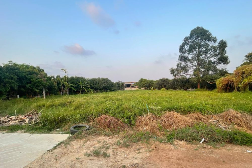 ภาพหน้าจอ_060425_112733_AM