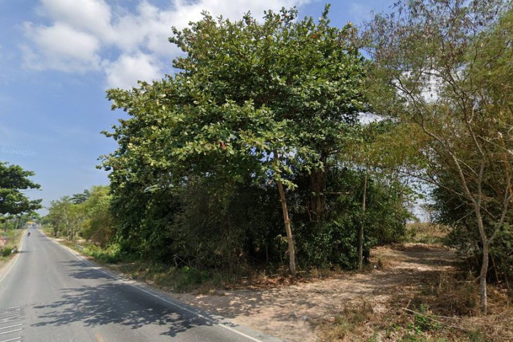 ภาพหน้าจอ_061324_032830_PM