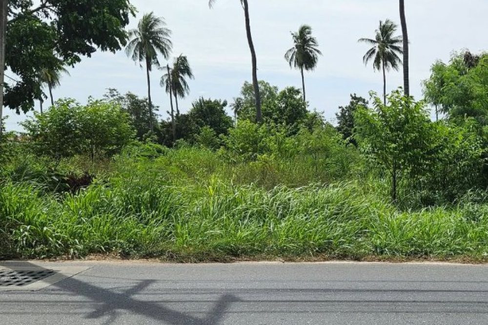 ภาพหน้าจอ_061626_095508_AM
