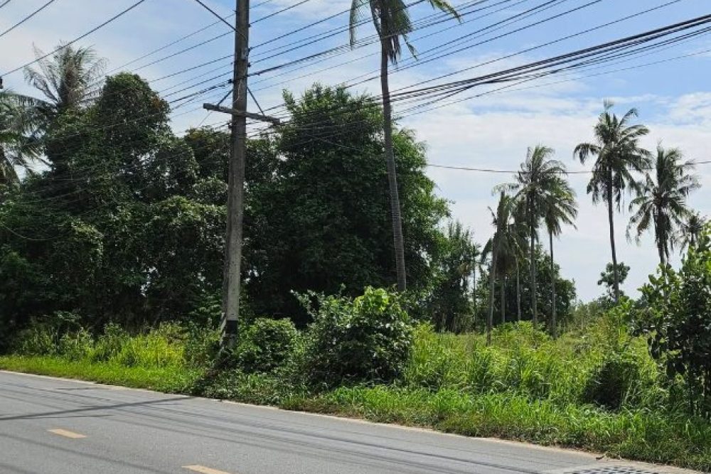 ภาพหน้าจอ_061626_095529_AM