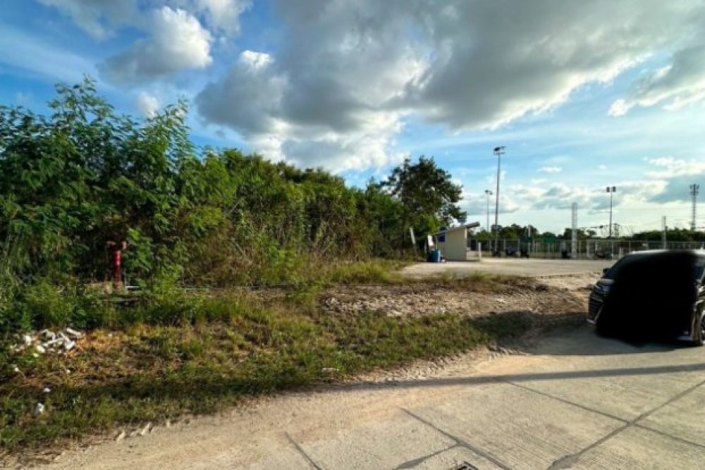 ภาพหน้าจอ_070725_020844_PM