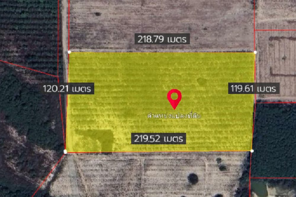 ภาพหน้าจอ_070924_032900_PM