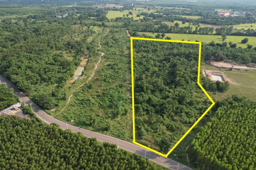 ภาพหน้าจอ_071125_032451_PM