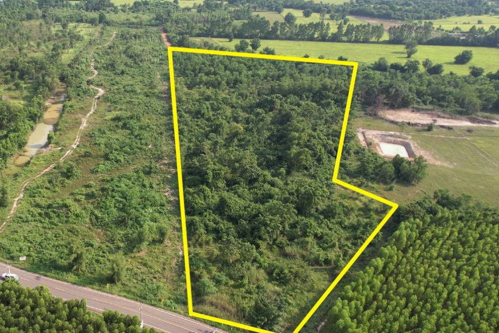 ภาพหน้าจอ_071125_032537_PM