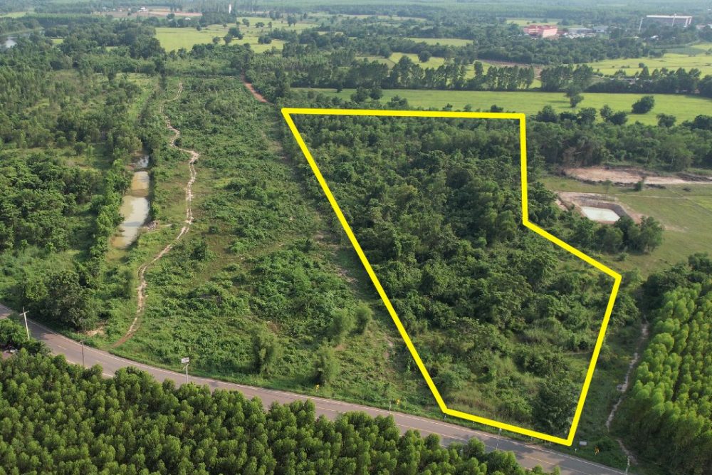 ภาพหน้าจอ_071125_032622_PM