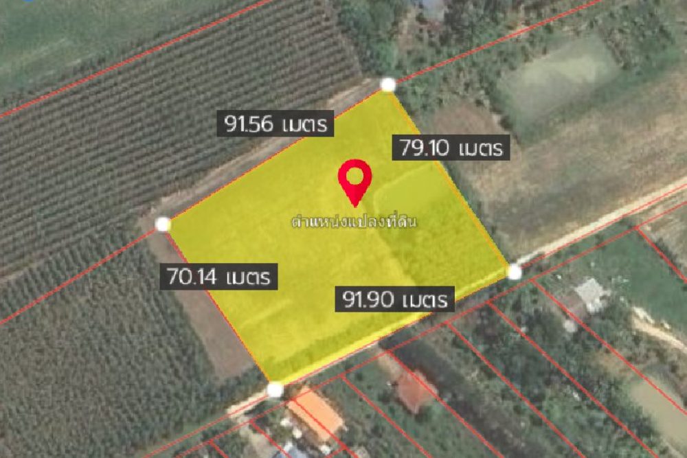 ภาพหน้าจอ_071225_034635_PM