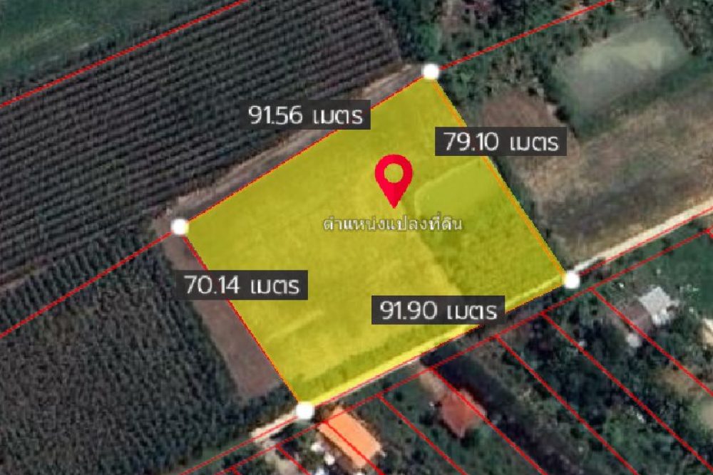 ภาพหน้าจอ_071225_034648_PM