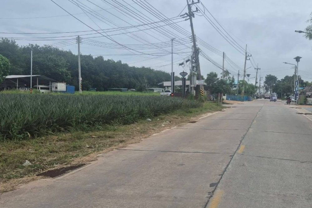 ภาพหน้าจอ_071526_032440_PM