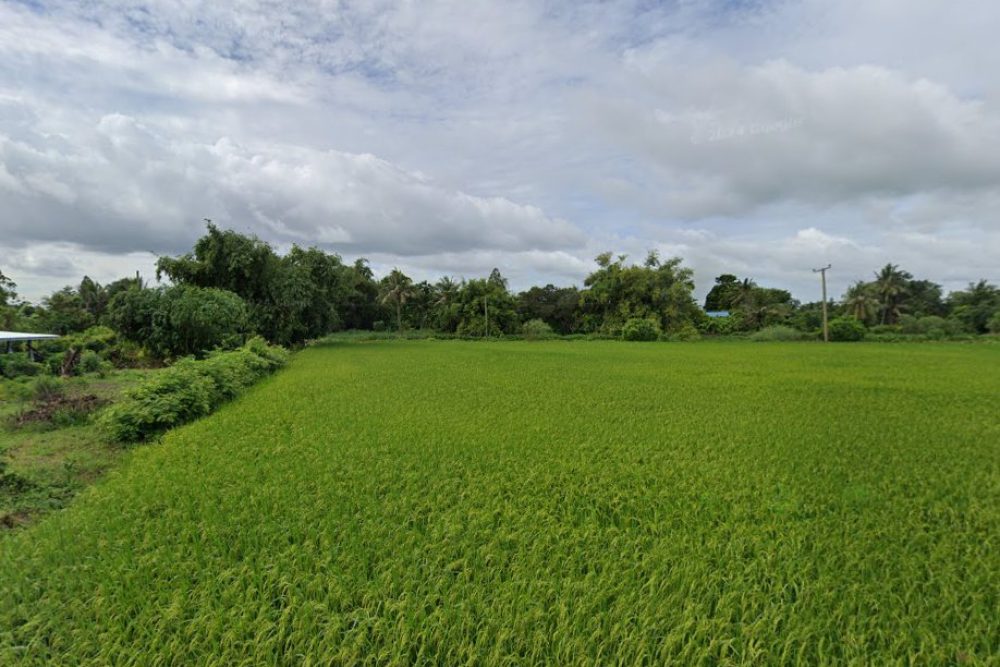 ภาพหน้าจอ_072425_042548_PM