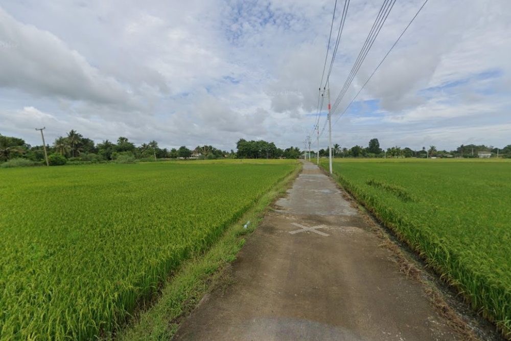 ภาพหน้าจอ_072425_042603_PM