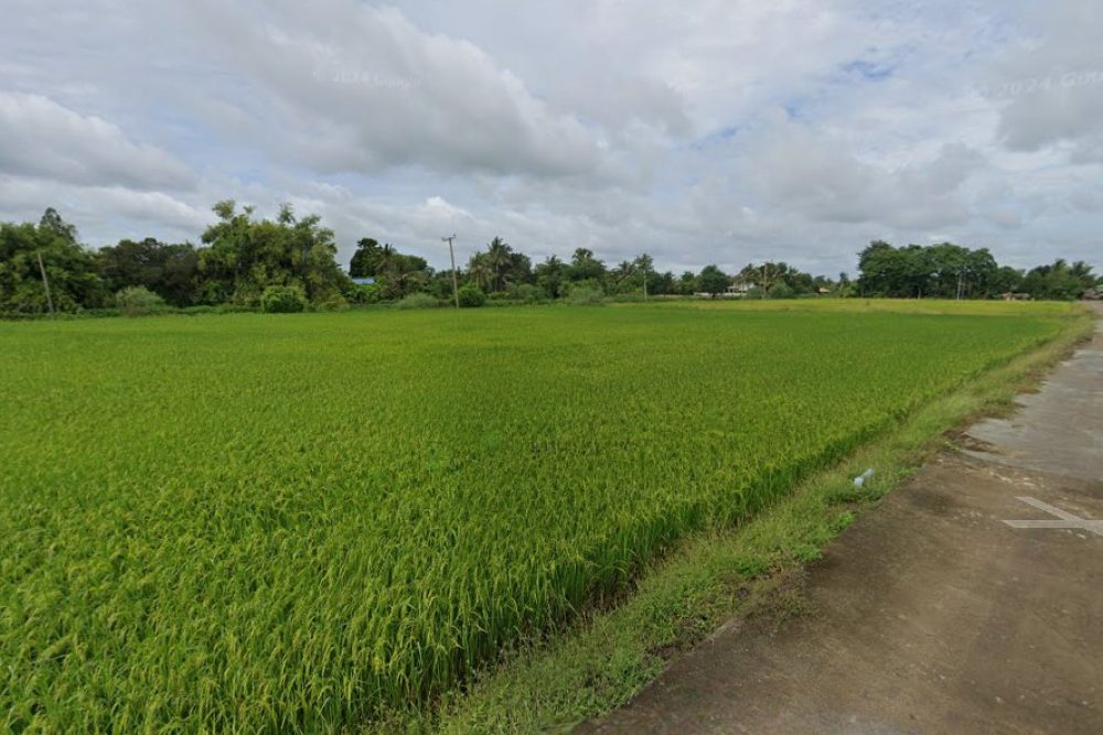 ภาพหน้าจอ_072425_042615_PM