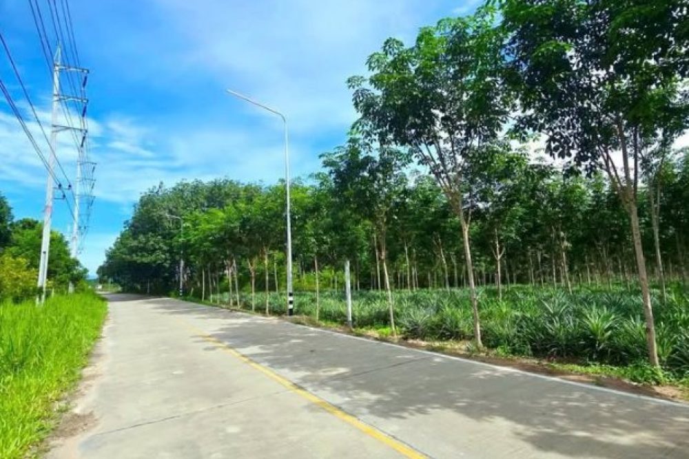 ภาพหน้าจอ_072726_112828_AM