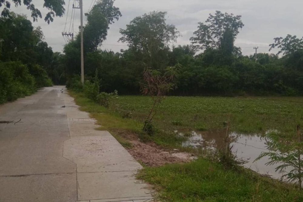 ภาพหน้าจอ_072825_102725_AM