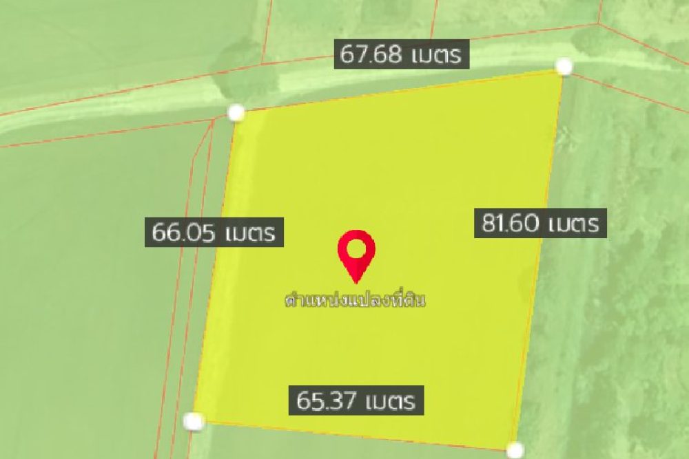 ภาพหน้าจอ_072925_023540_PM