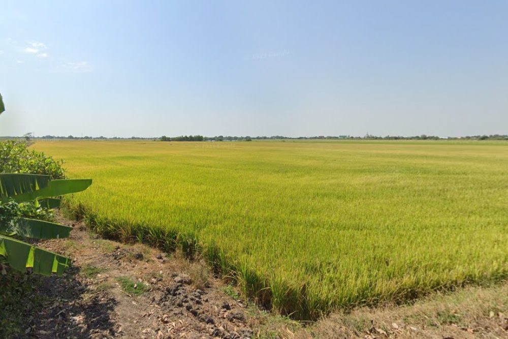 ภาพหน้าจอ_080524_044207_PM