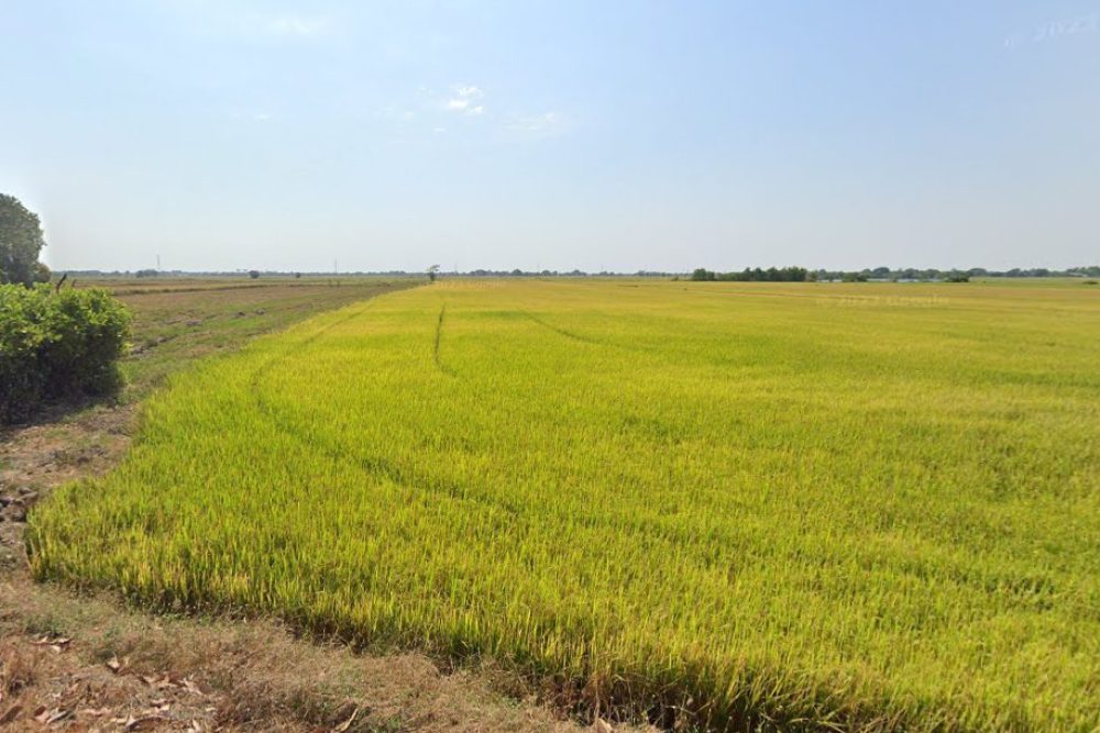 ภาพหน้าจอ_080524_044222_PM