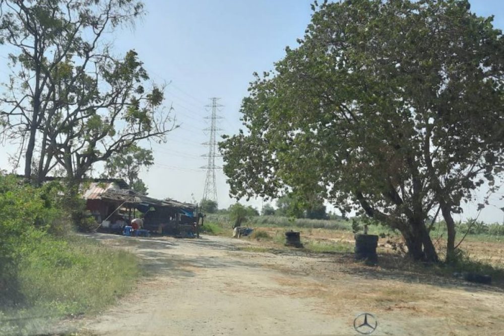 ภาพหน้าจอ_080725_031102_PM