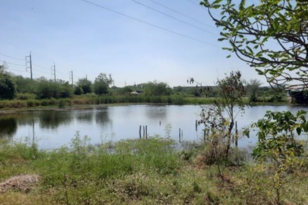 ภาพหน้าจอ_080725_031119_PM