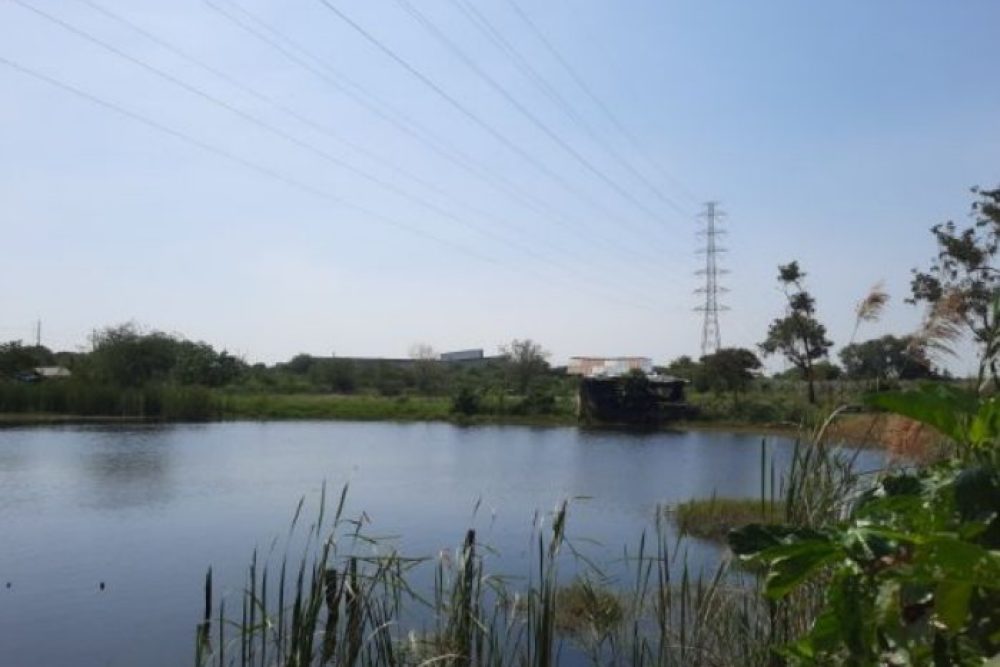 ภาพหน้าจอ_080725_031143_PM