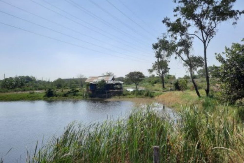 ภาพหน้าจอ_080725_031200_PM