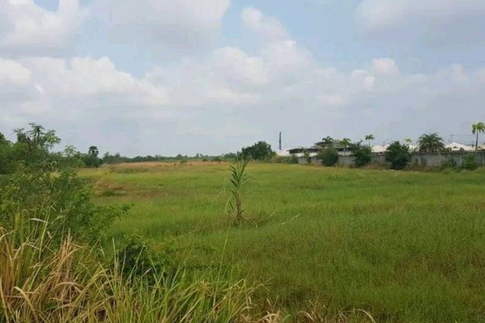 ภาพหน้าจอ_080925_043410_PM