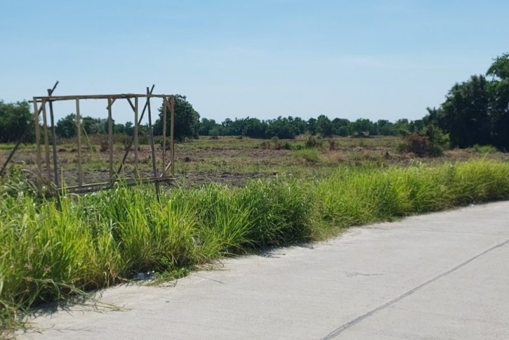 ภาพหน้าจอ_080925_050142_PM