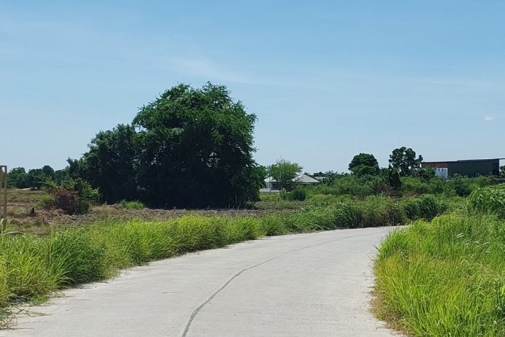 ภาพหน้าจอ_080925_050155_PM