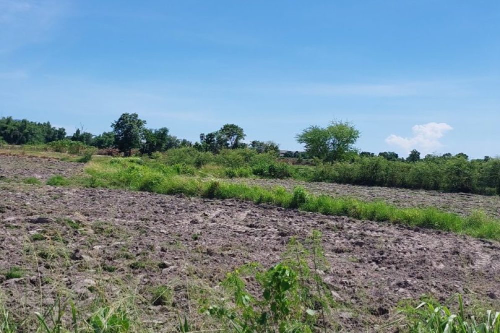 ภาพหน้าจอ_080925_050208_PM