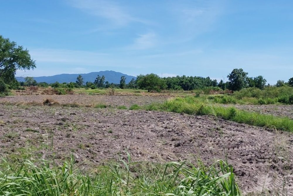 ภาพหน้าจอ_080925_050229_PM