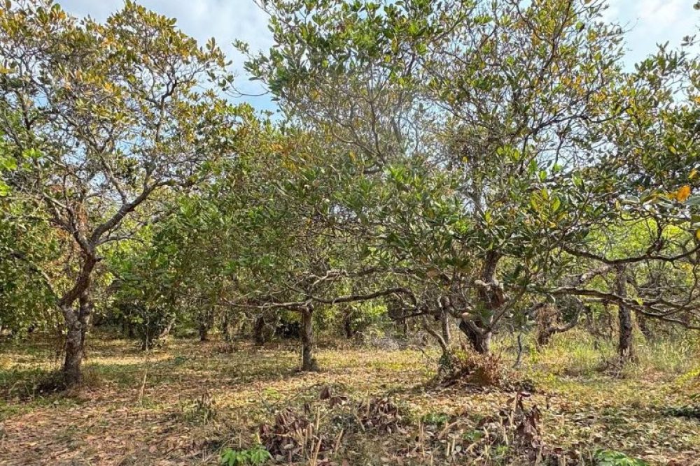 ภาพหน้าจอ_081125_022608_PM