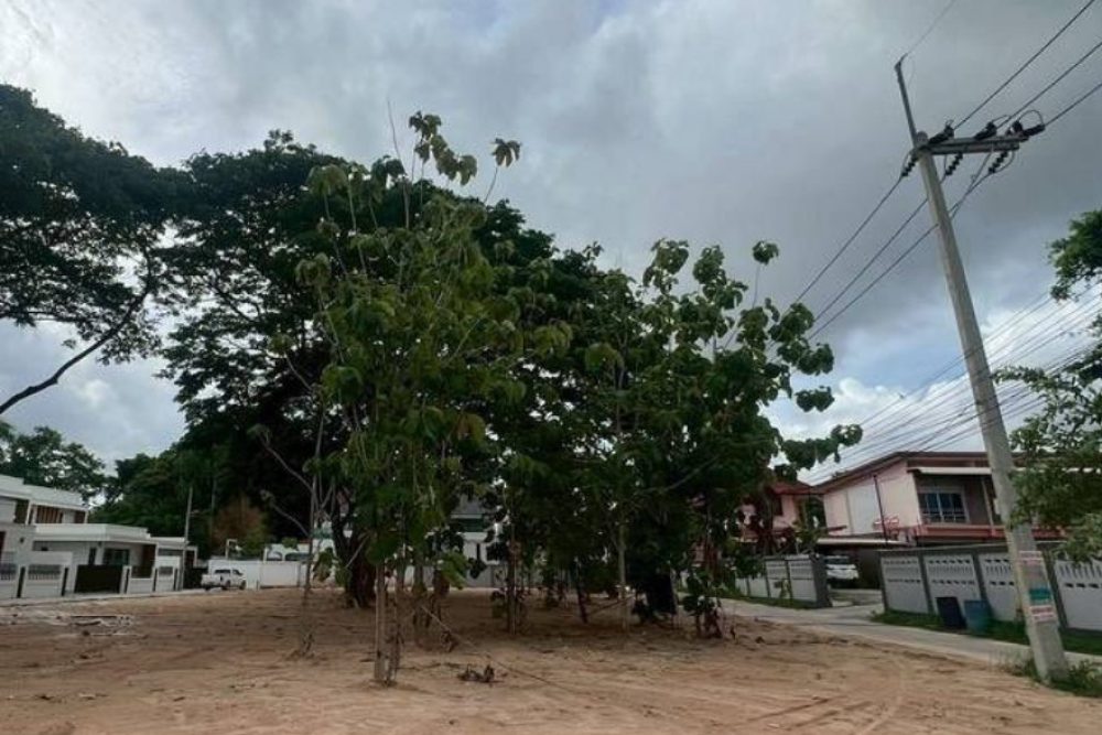 ภาพหน้าจอ_081125_113457_AM