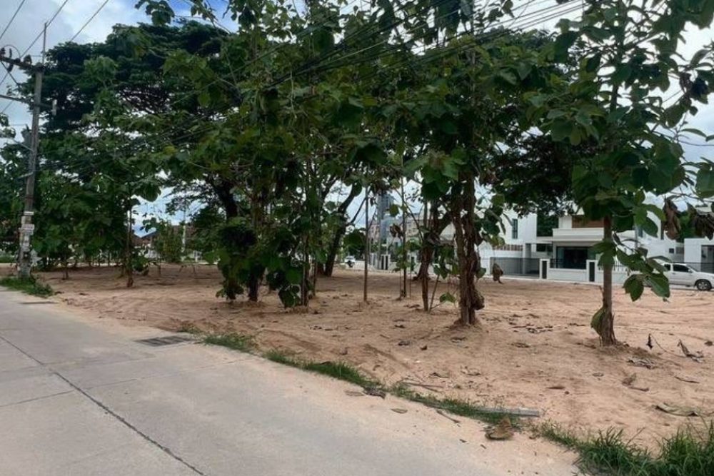 ภาพหน้าจอ_081125_113524_AM