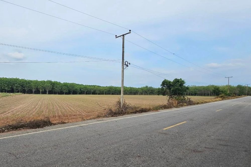 ภาพหน้าจอ_081425_020539_PM