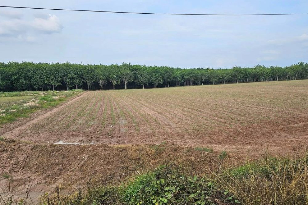 ภาพหน้าจอ_081425_020552_PM