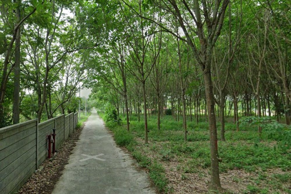 ภาพหน้าจอ_081425_032326_PM