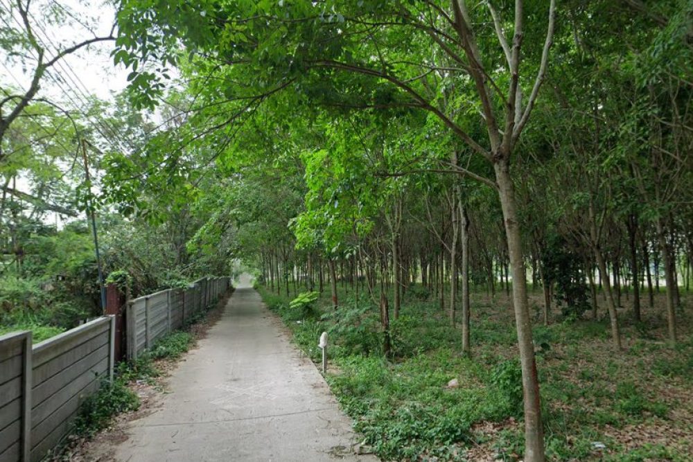 ภาพหน้าจอ_081425_032344_PM