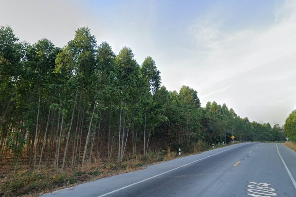 ภาพหน้าจอ_081425_094040_AM