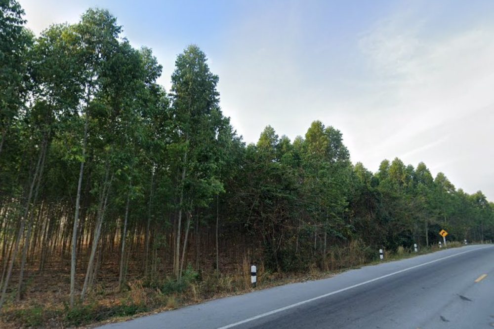 ภาพหน้าจอ_081425_094054_AM