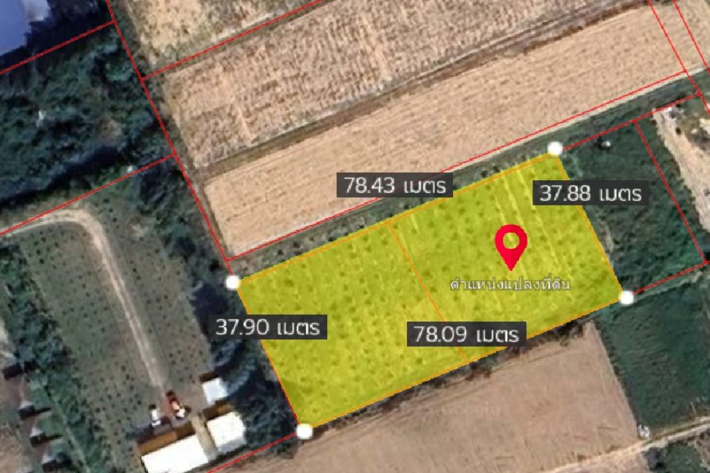 ภาพหน้าจอ_081425_113422_AM