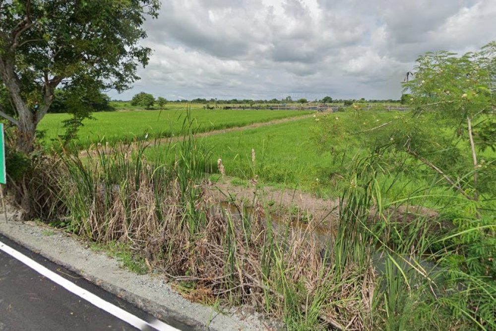 ภาพหน้าจอ_081825_034232_PM