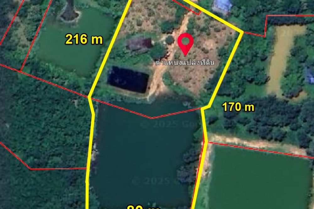 ภาพหน้าจอ_081925_025002_PM