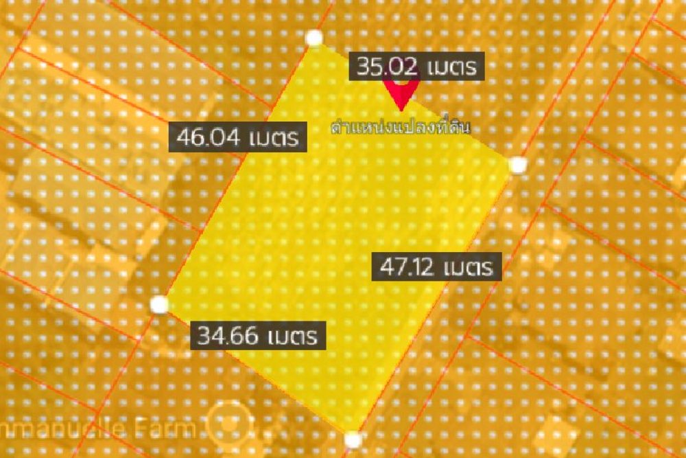 ภาพหน้าจอ_081925_085541_AM