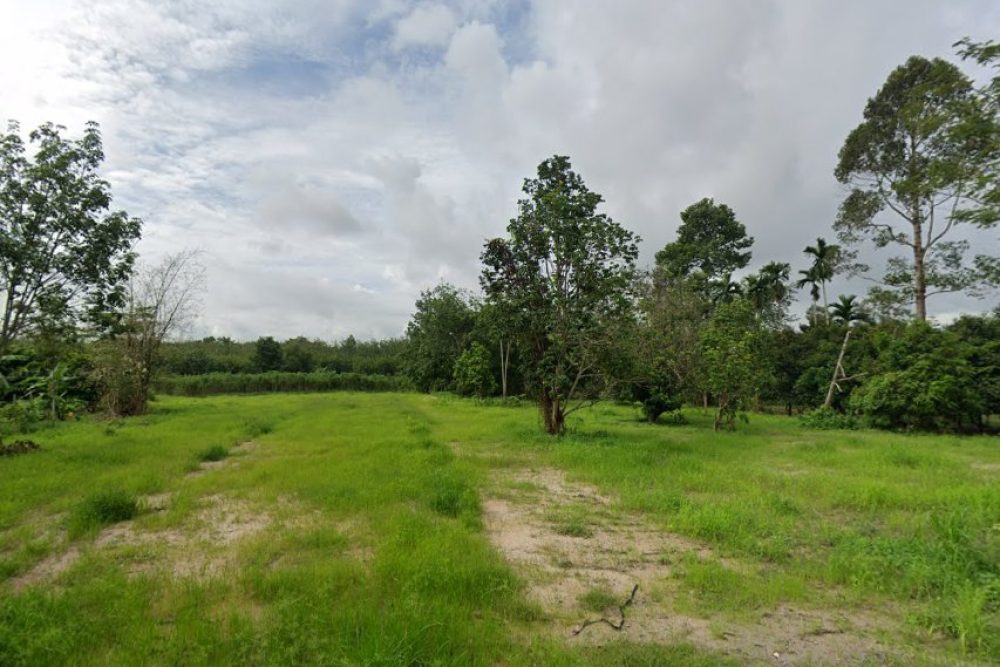 ภาพหน้าจอ_081925_105233_AM