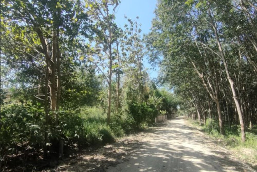 ภาพหน้าจอ_082225_022749_PM