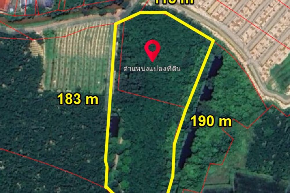 ภาพหน้าจอ_082225_104851_AM