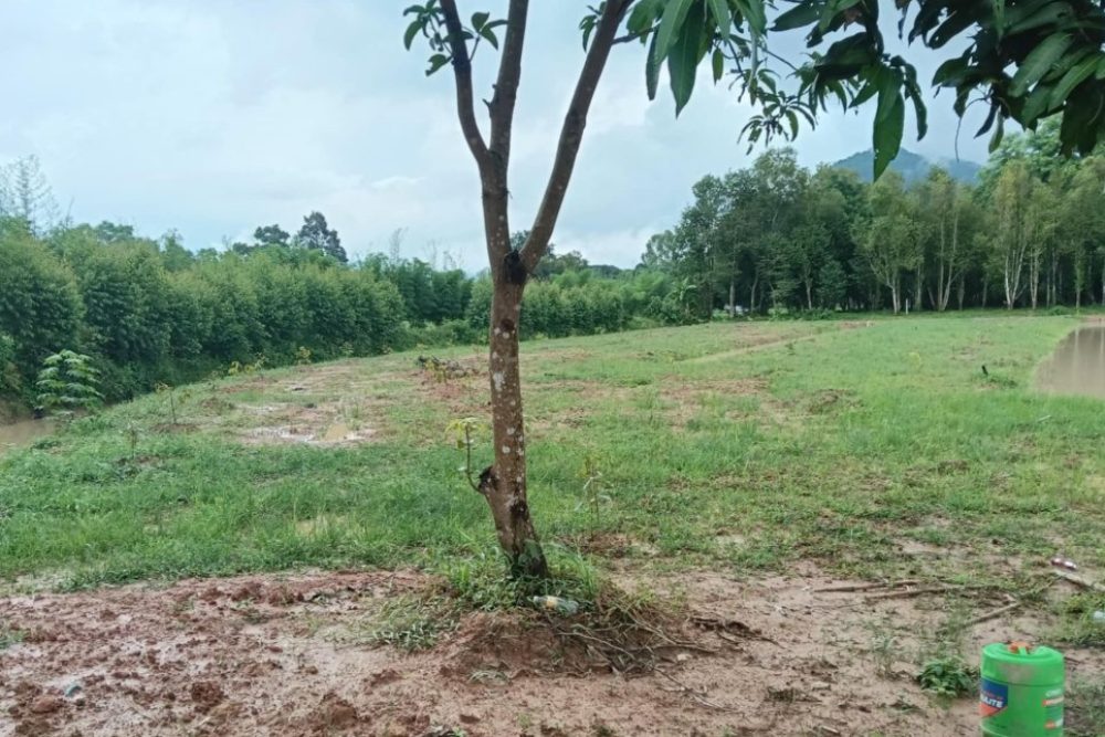 ภาพหน้าจอ_082225_105653_AM