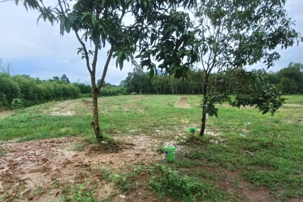 ภาพหน้าจอ_082225_105737_AM