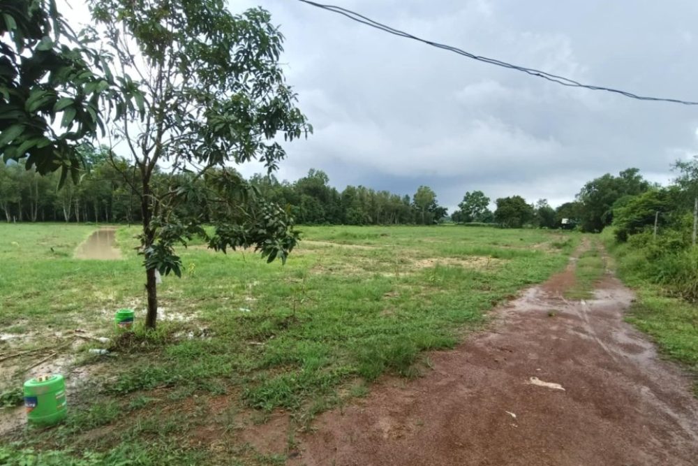 ภาพหน้าจอ_082225_105753_AM