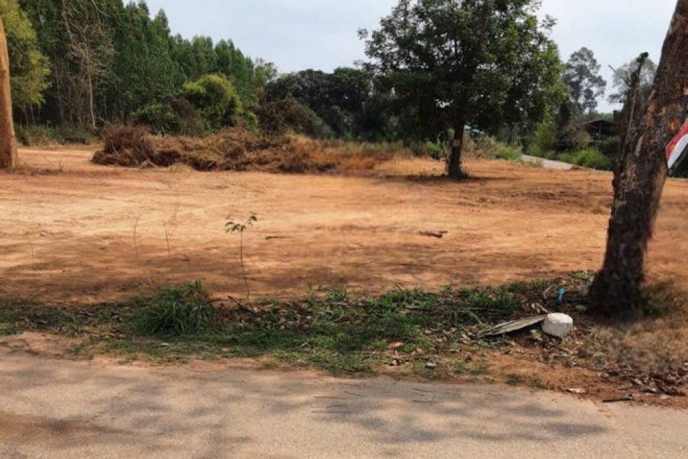 ภาพหน้าจอ_082325_045634_PM