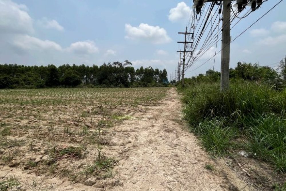 ภาพหน้าจอ_082426_115146_AM
